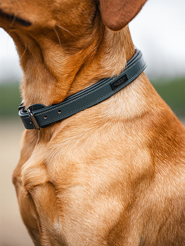 Equestrian Stockholm Clean Dog Collar Dramatic Monday