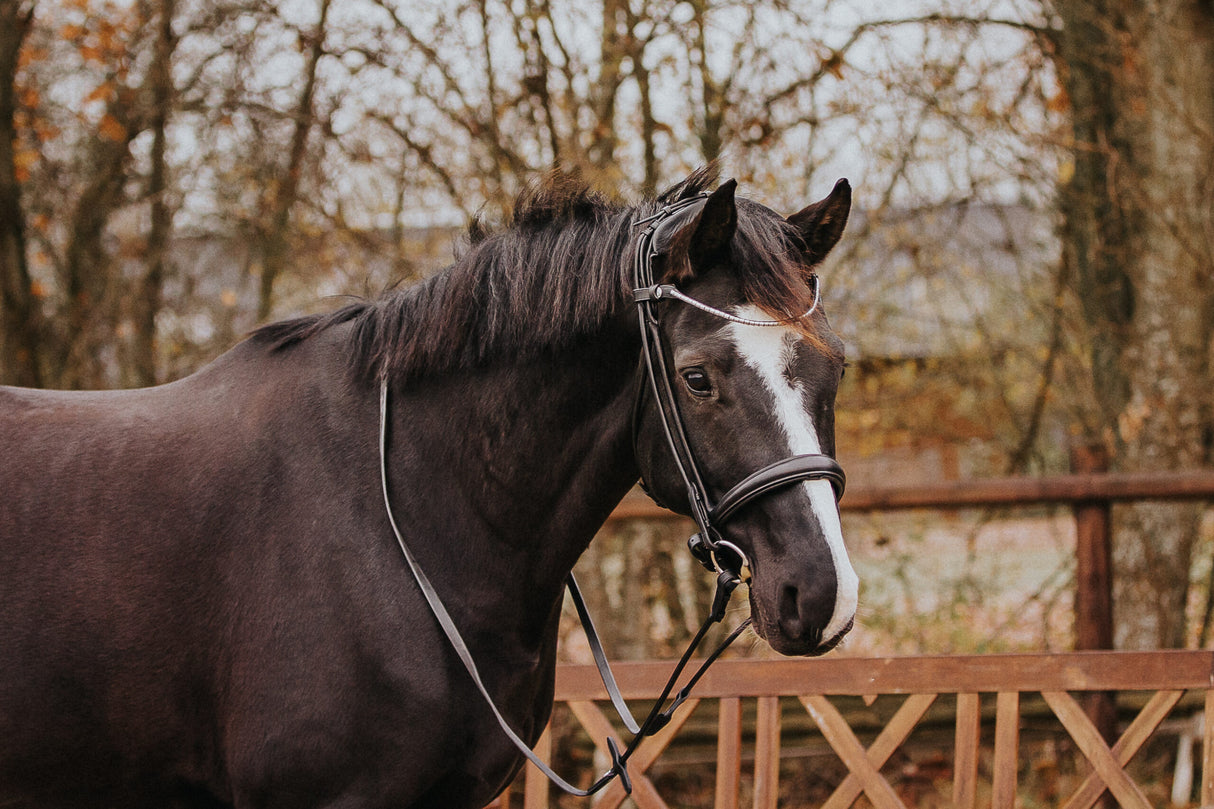 Finesse Himalaya Cavesson Bridle
