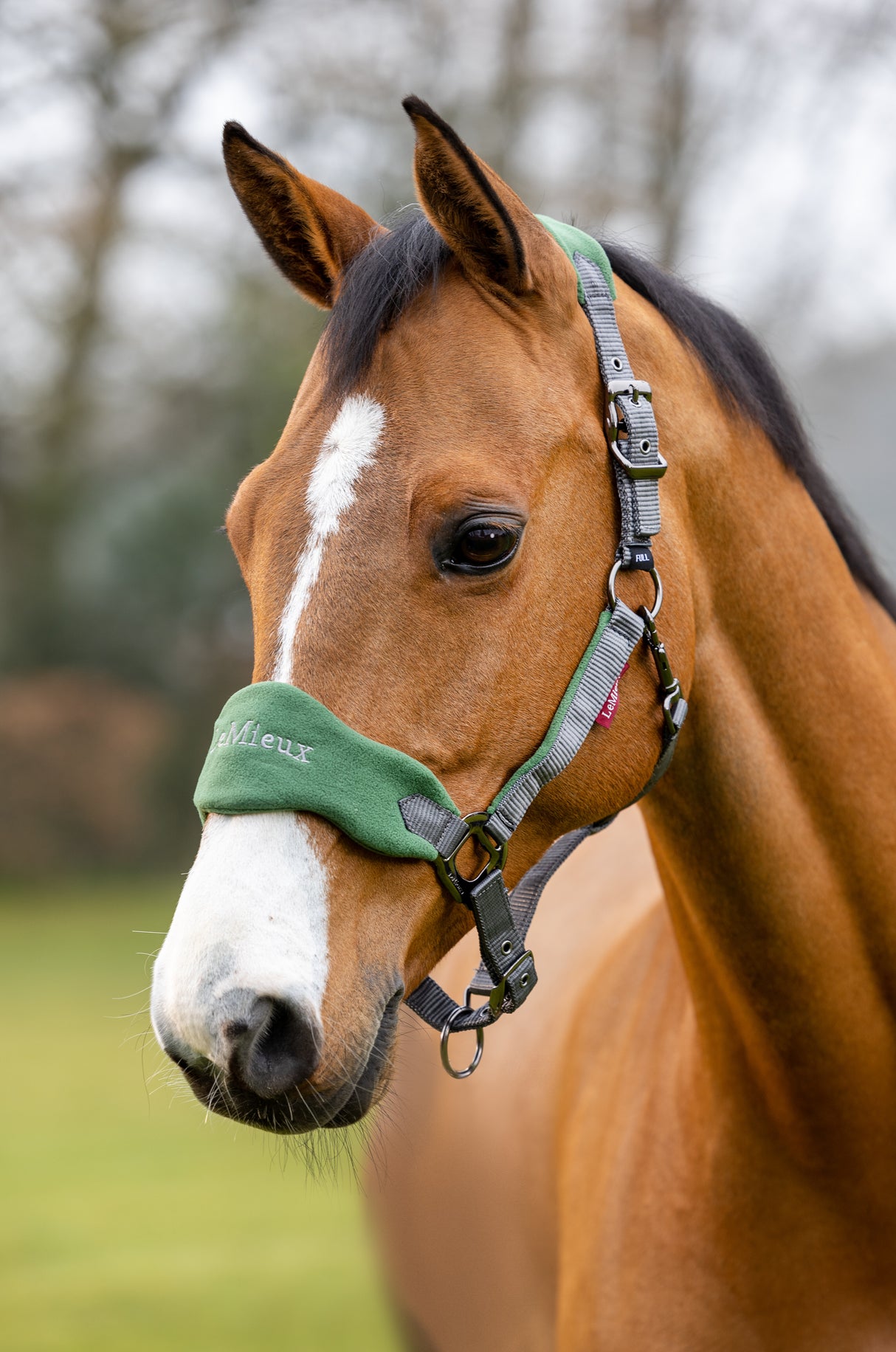 LeMieux Vogue Headcollar & Leadrope Hunter Green