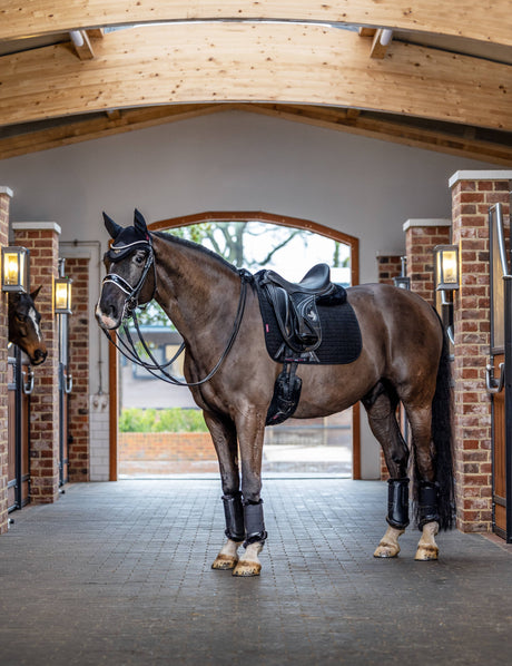 LeMieux Suede Dressage Square Saddle Pad Black