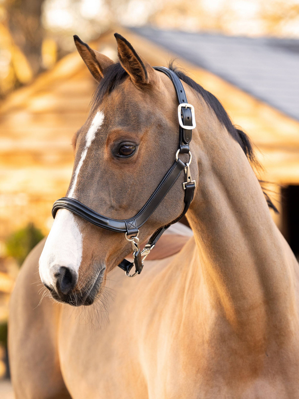 LeMieux Leather Grooming Headcollar Black