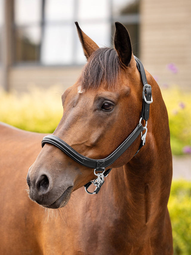 LeMieux Leather Grooming Headcollar Black