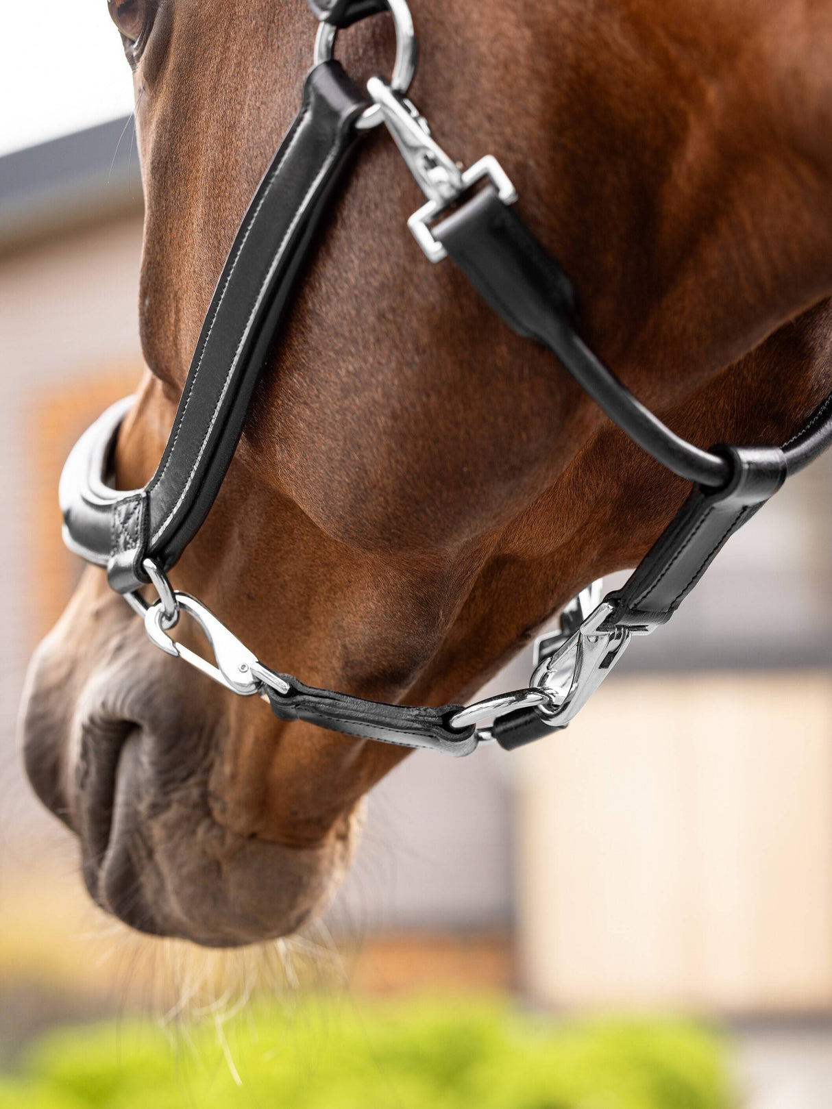 LeMieux Leather Grooming Headcollar Black