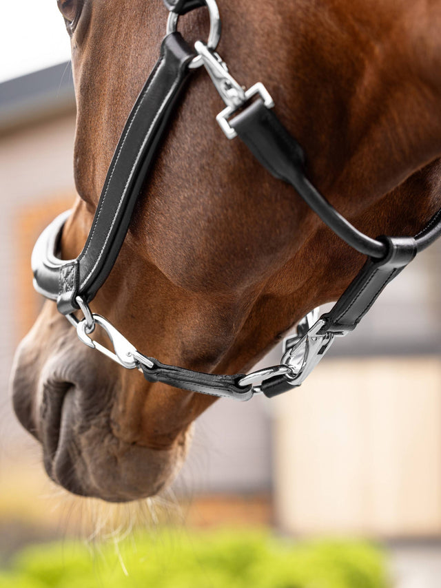 LeMieux Leather Grooming Headcollar Black