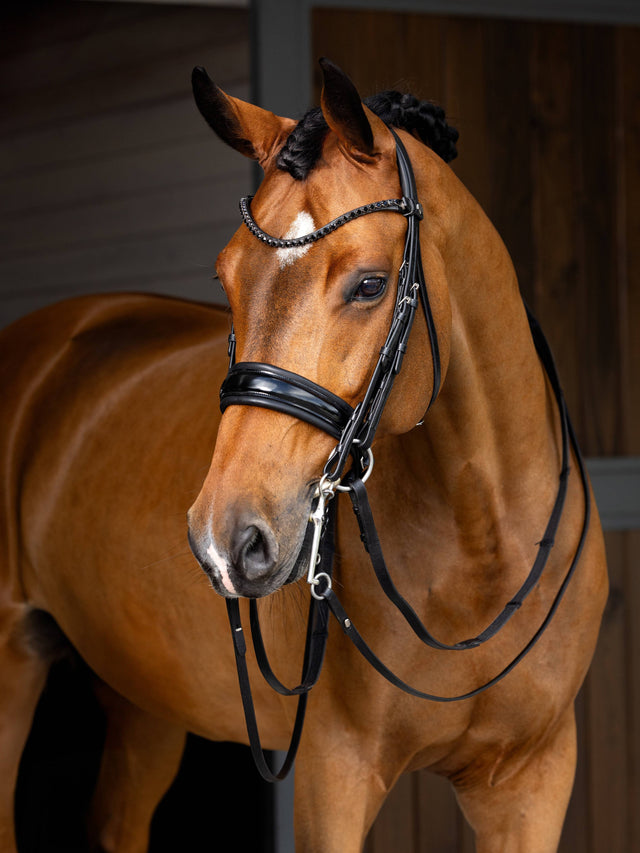 LeMieux Kudos Patent Double Bridle