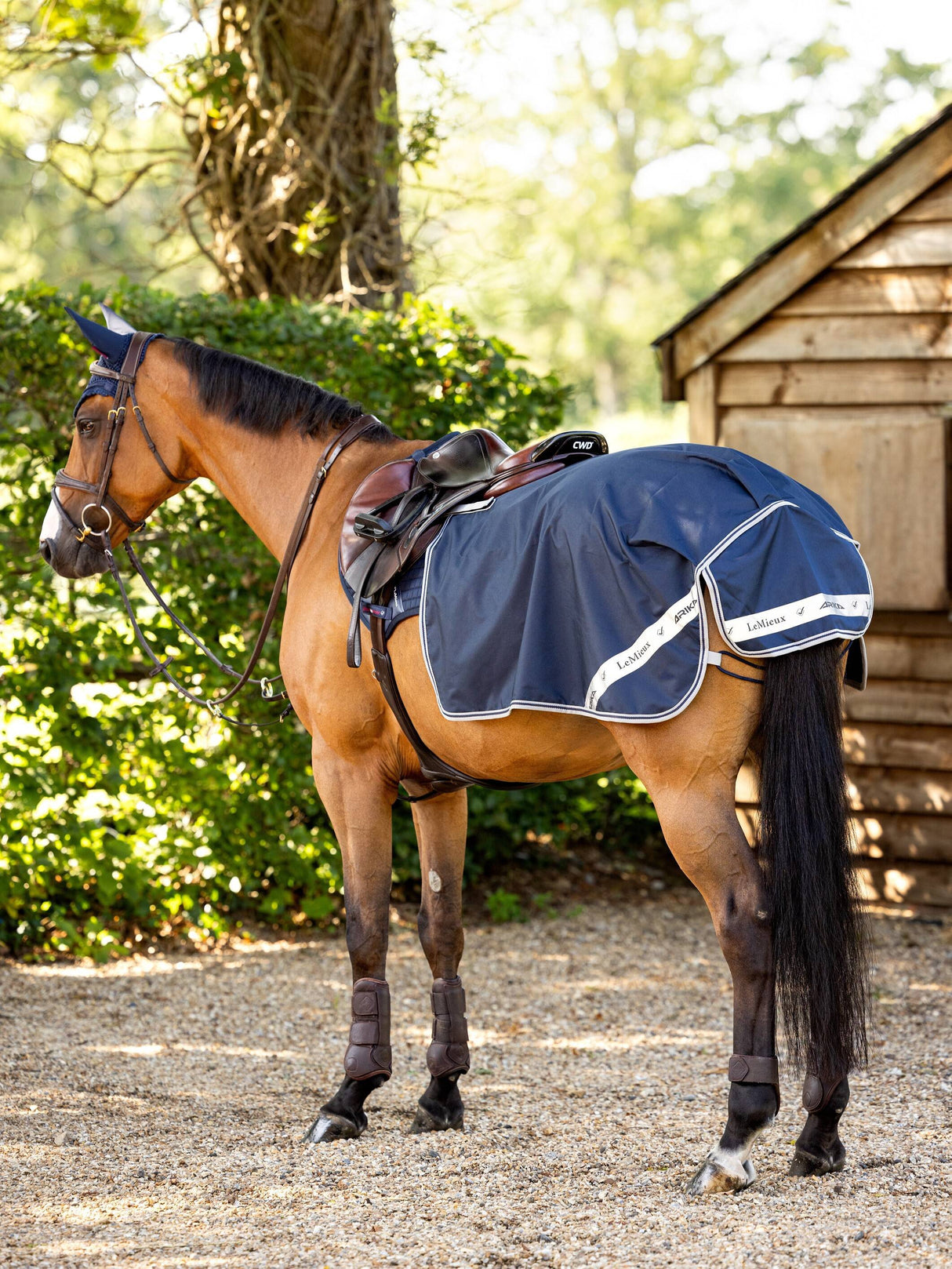 LeMieux Arika Waterproof Exercise Quarter Sheet Navy