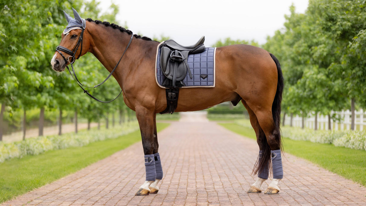 LeMieux Loire Classic Bandages Jay Blue