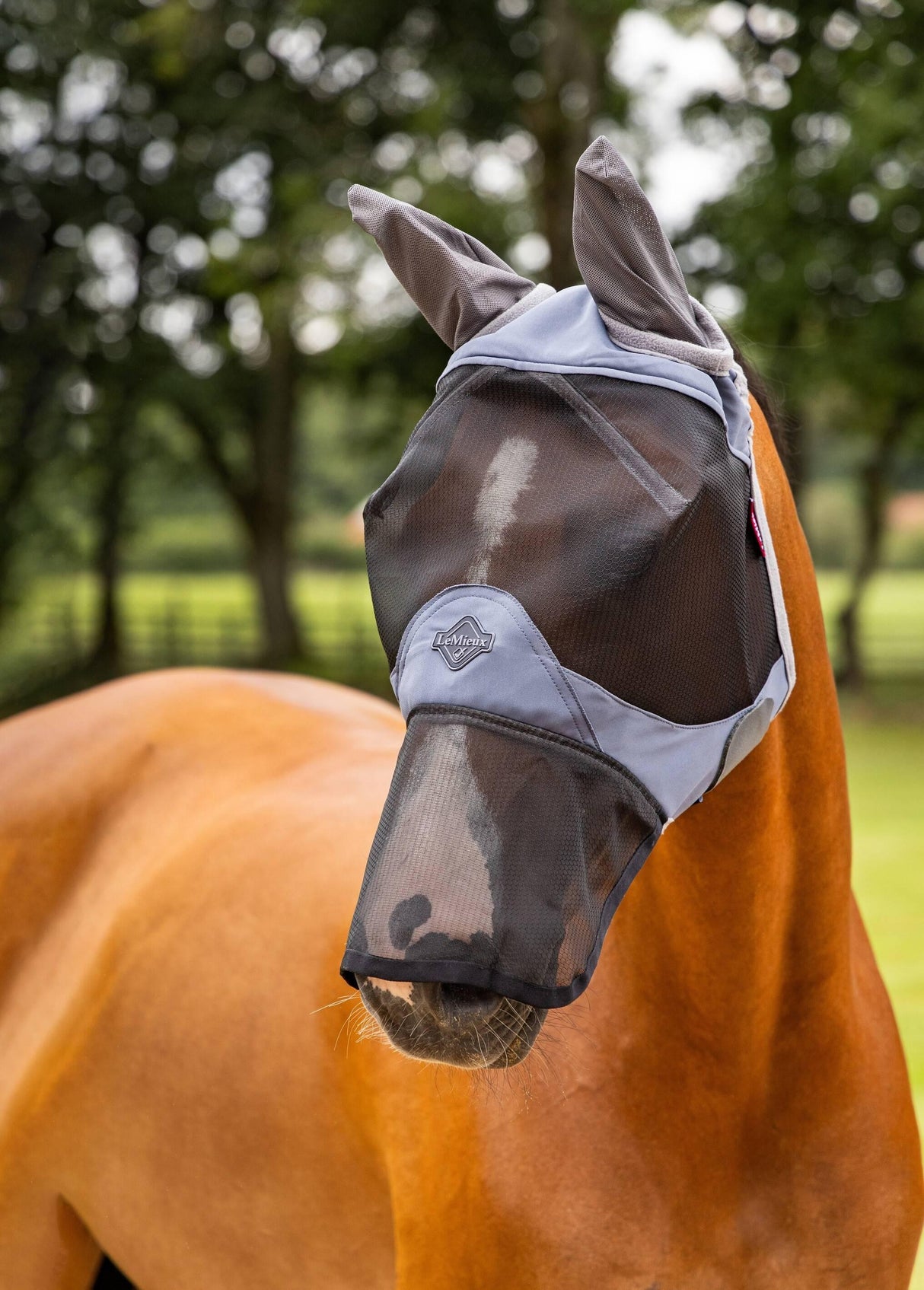 LeMieux Visor-Tek Full Fly Mask Jay Blue