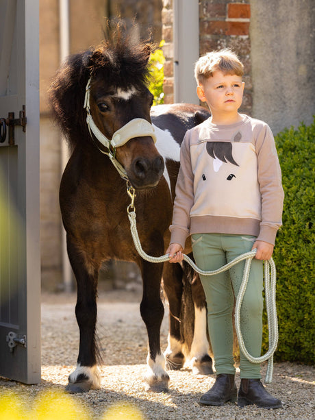 LeMieux Mini Pony Sweatshirt Walnut