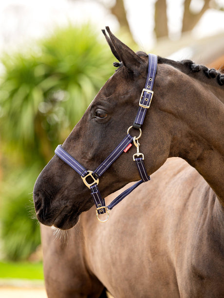 LeMieux Essential Yard Headcollar Navy