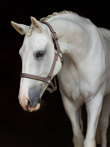 LeMieux Essential Yard Headcollar Walnut