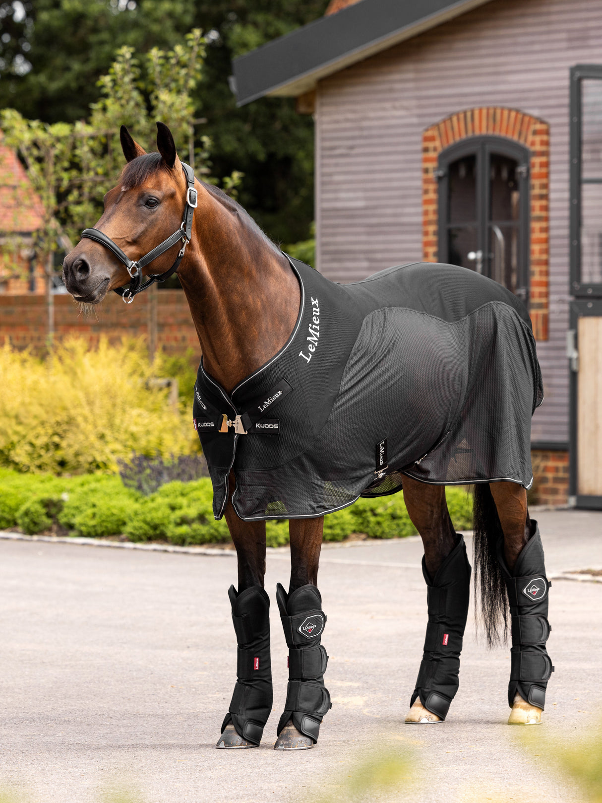 LeMieux Travel Boots Black