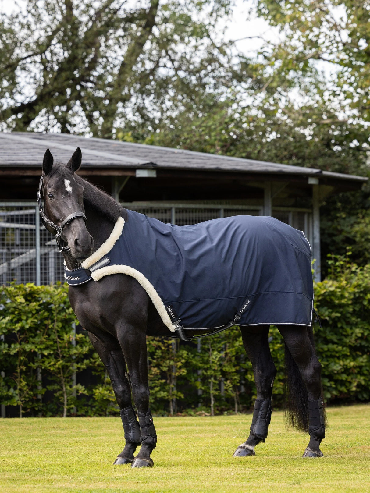LeMieux Walker Rug Navy