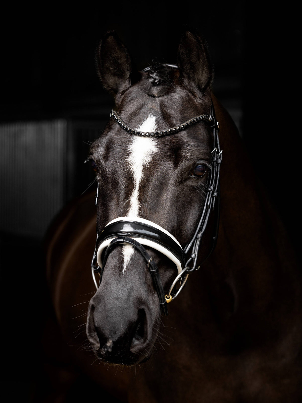 LeMieux Kudos Patent Dressage Bridle