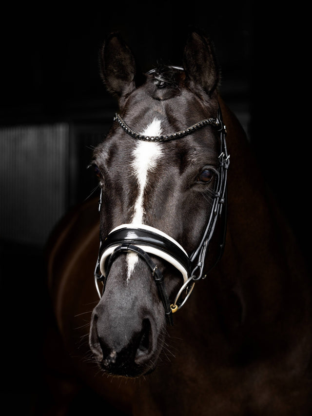 LeMieux Kudos Patent Dressage Bridle