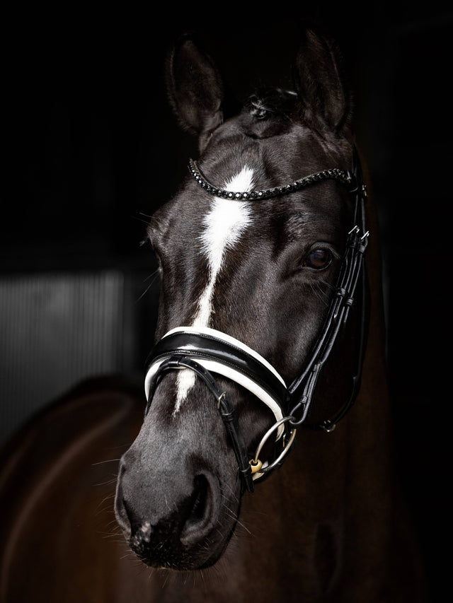 LeMieux Kudos Patent Dressage Bridle