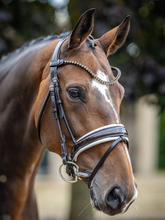 LeMieux Kudos Patent Dressage Bridle