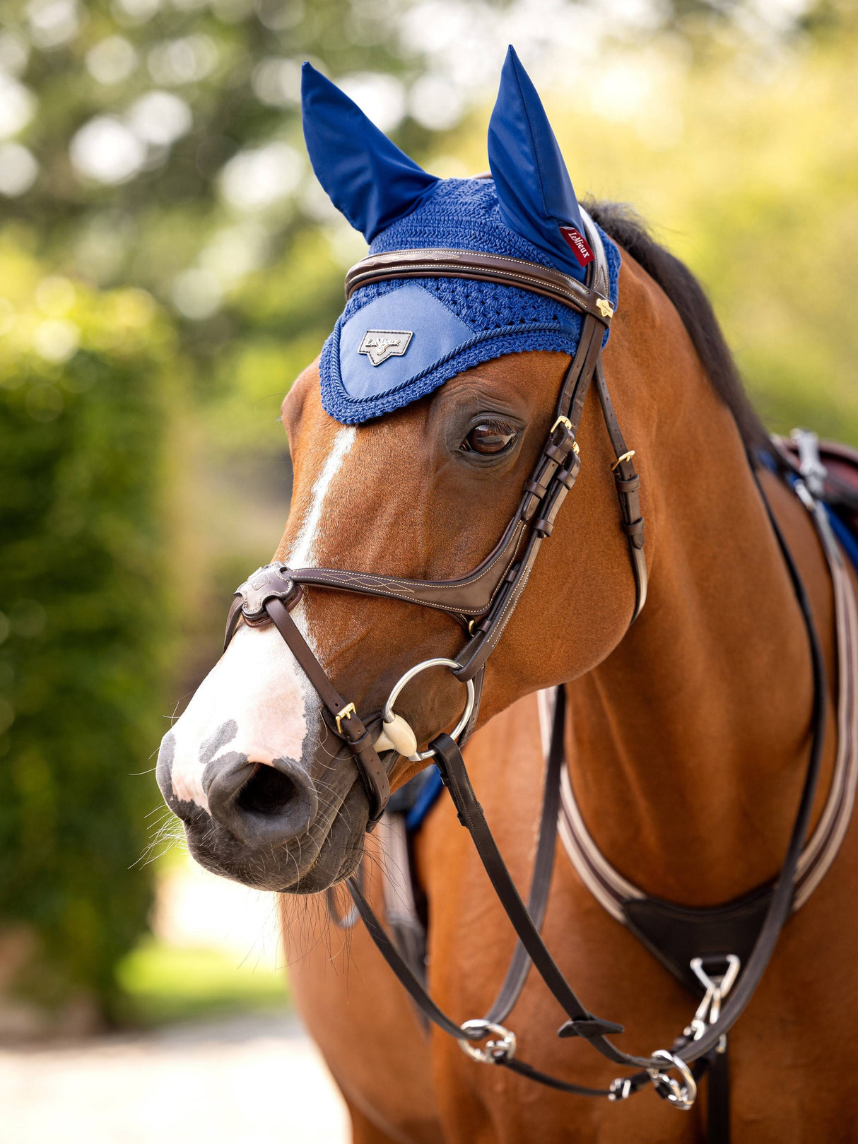 LeMieux Loire Ear Bonnet Benetton