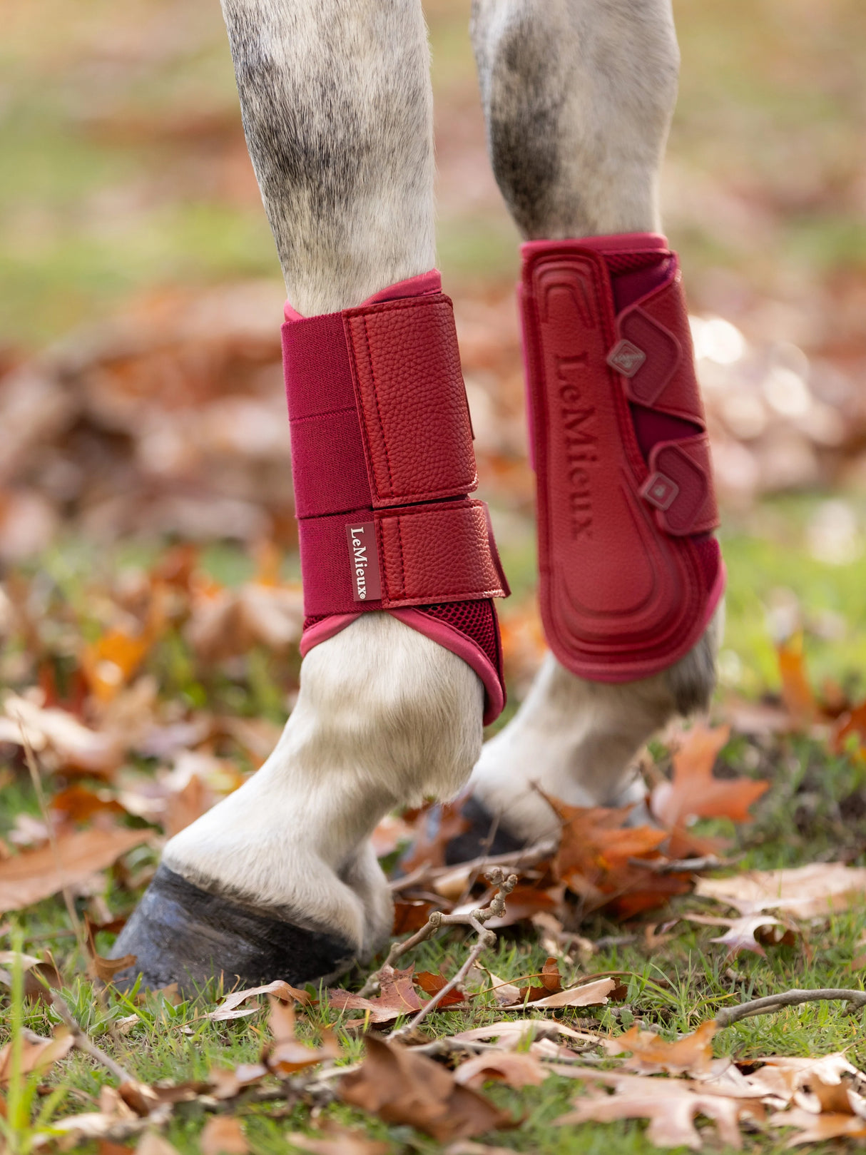 LeMieux Arika Mesh Brushing Boots Ember