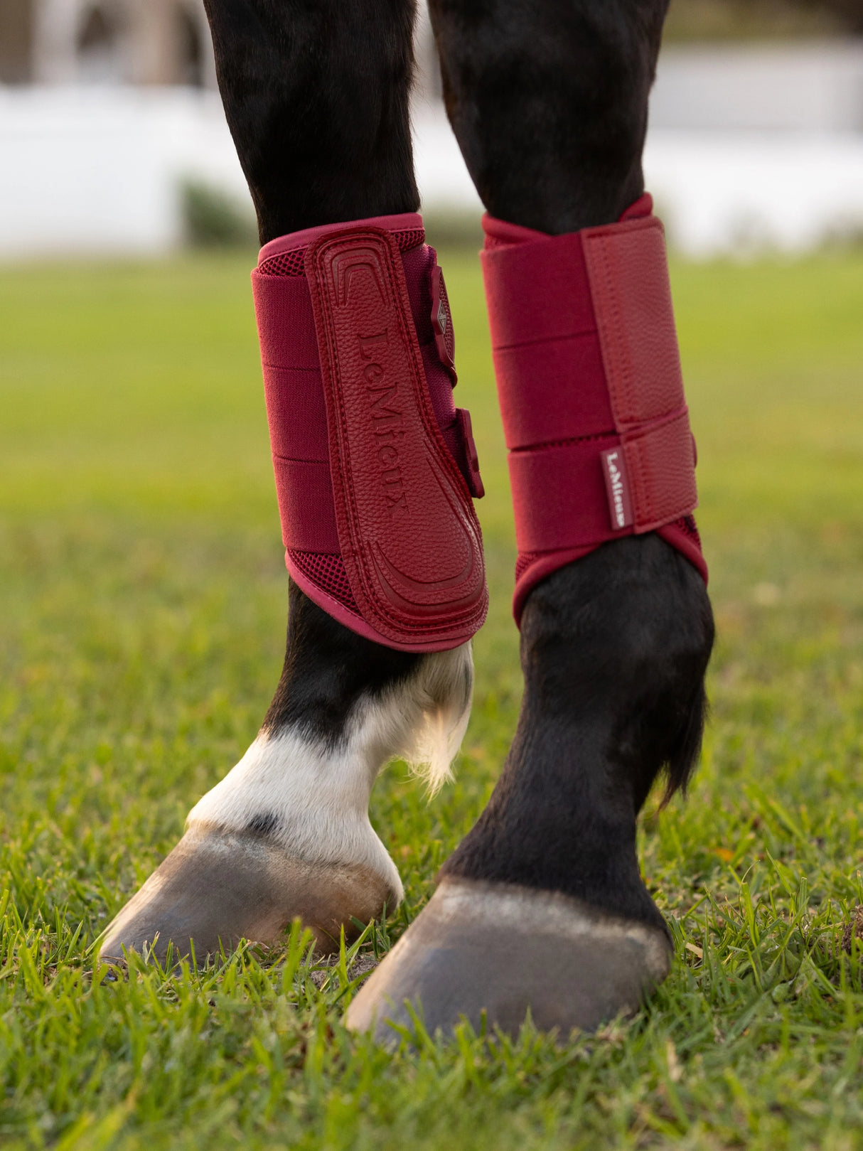 LeMieux Arika Mesh Brushing Boots Ember