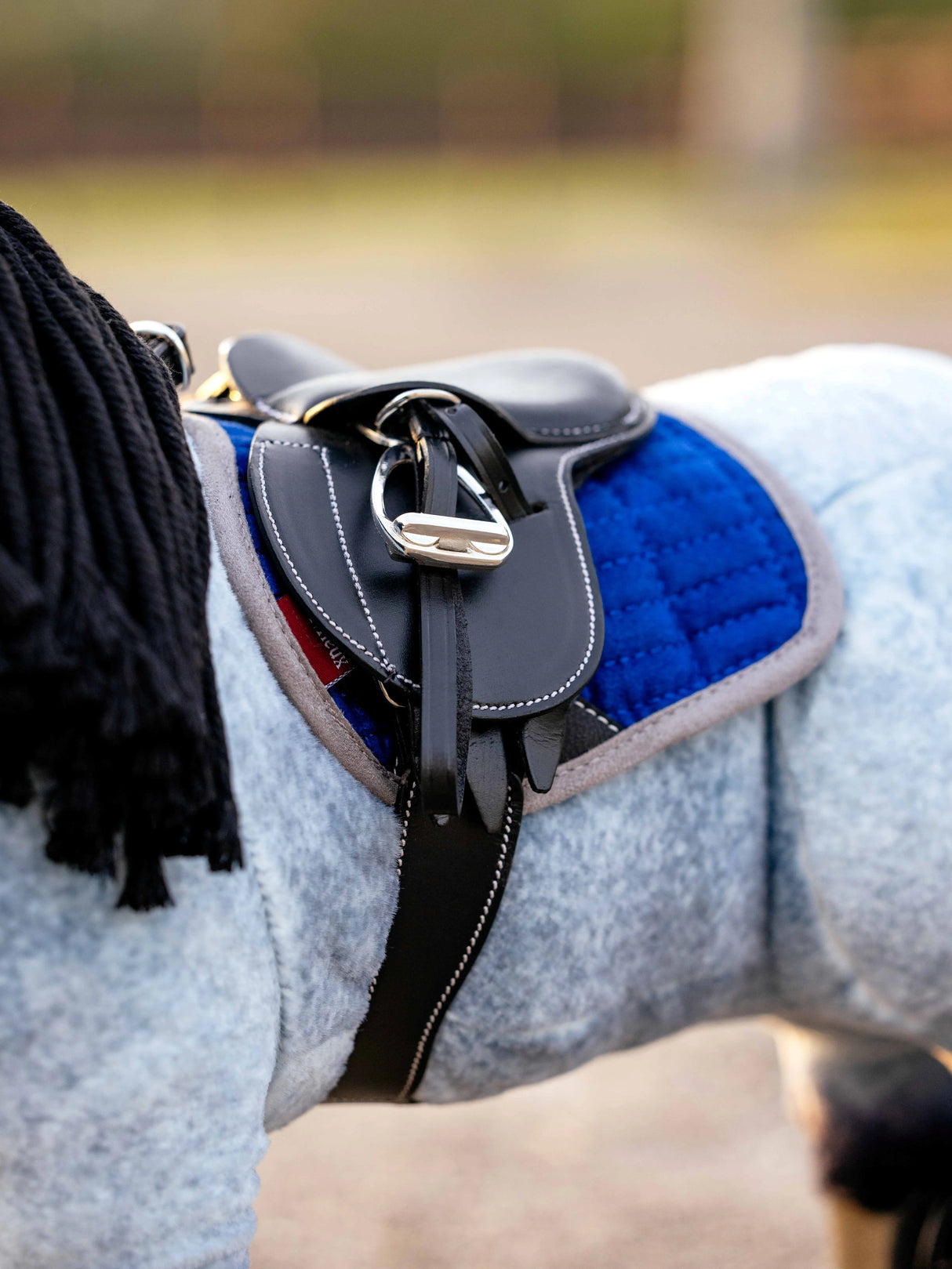 LeMieux Toy Pony Jump Saddle Pad Benetton Blue