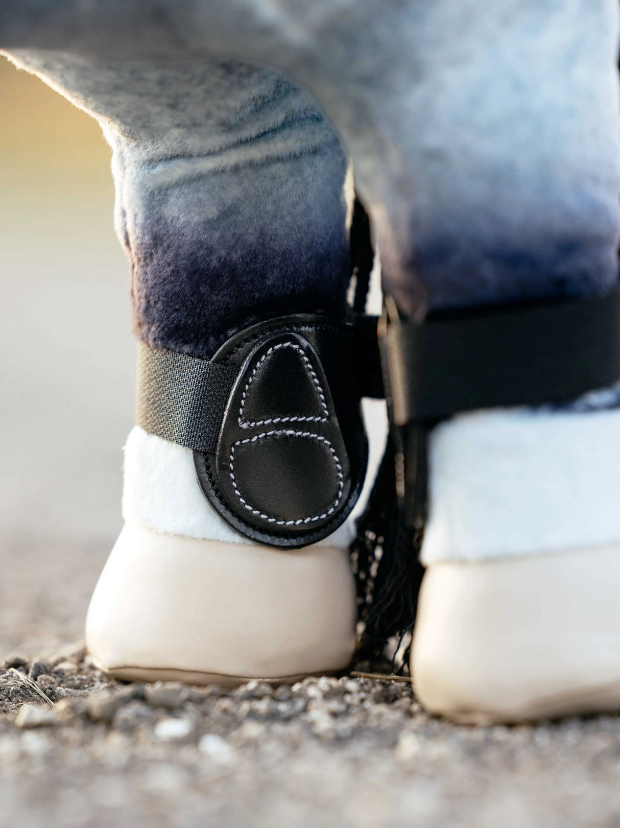 LeMieux Toy Pony Capella Boots Black
