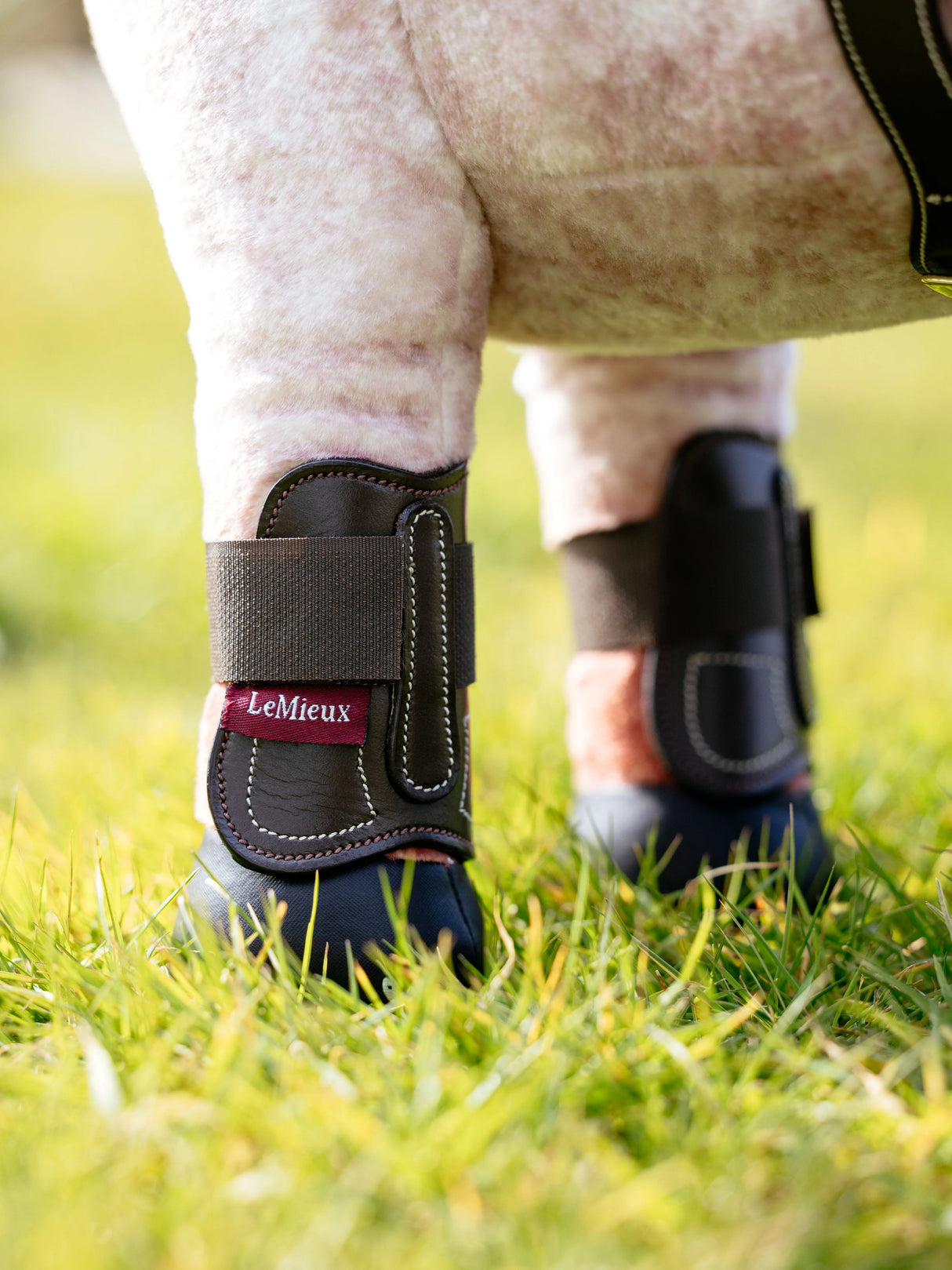 LeMieux Toy Pony Capella Boots Brown