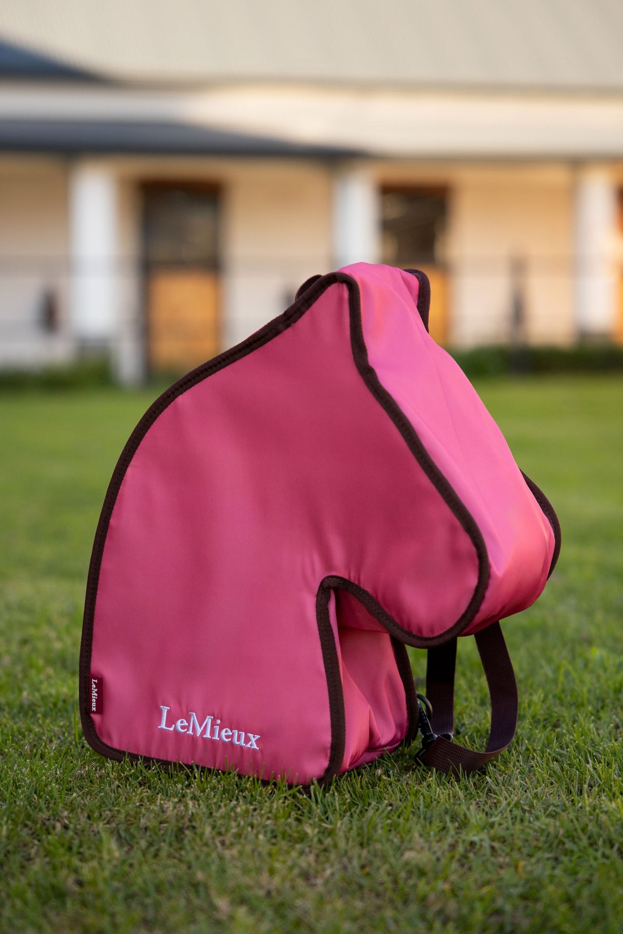 LeMieux Hobby Horse Carry Bag Cranberry