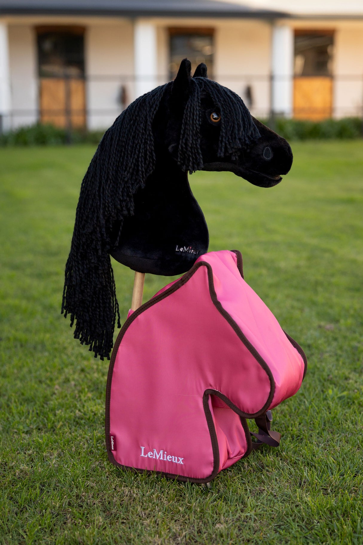 LeMieux Hobby Horse Carry Bag Cranberry