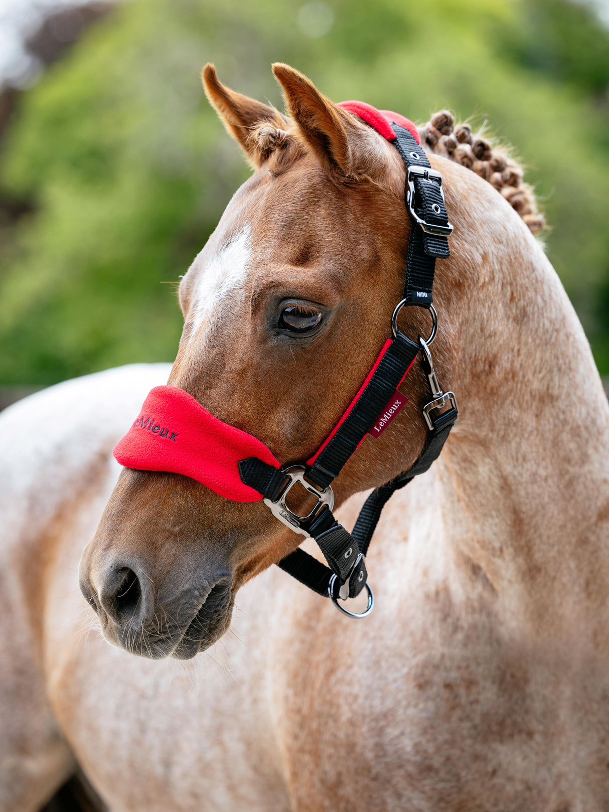 LeMieux Mini Vogue Headcollar & Leadrope Chilli