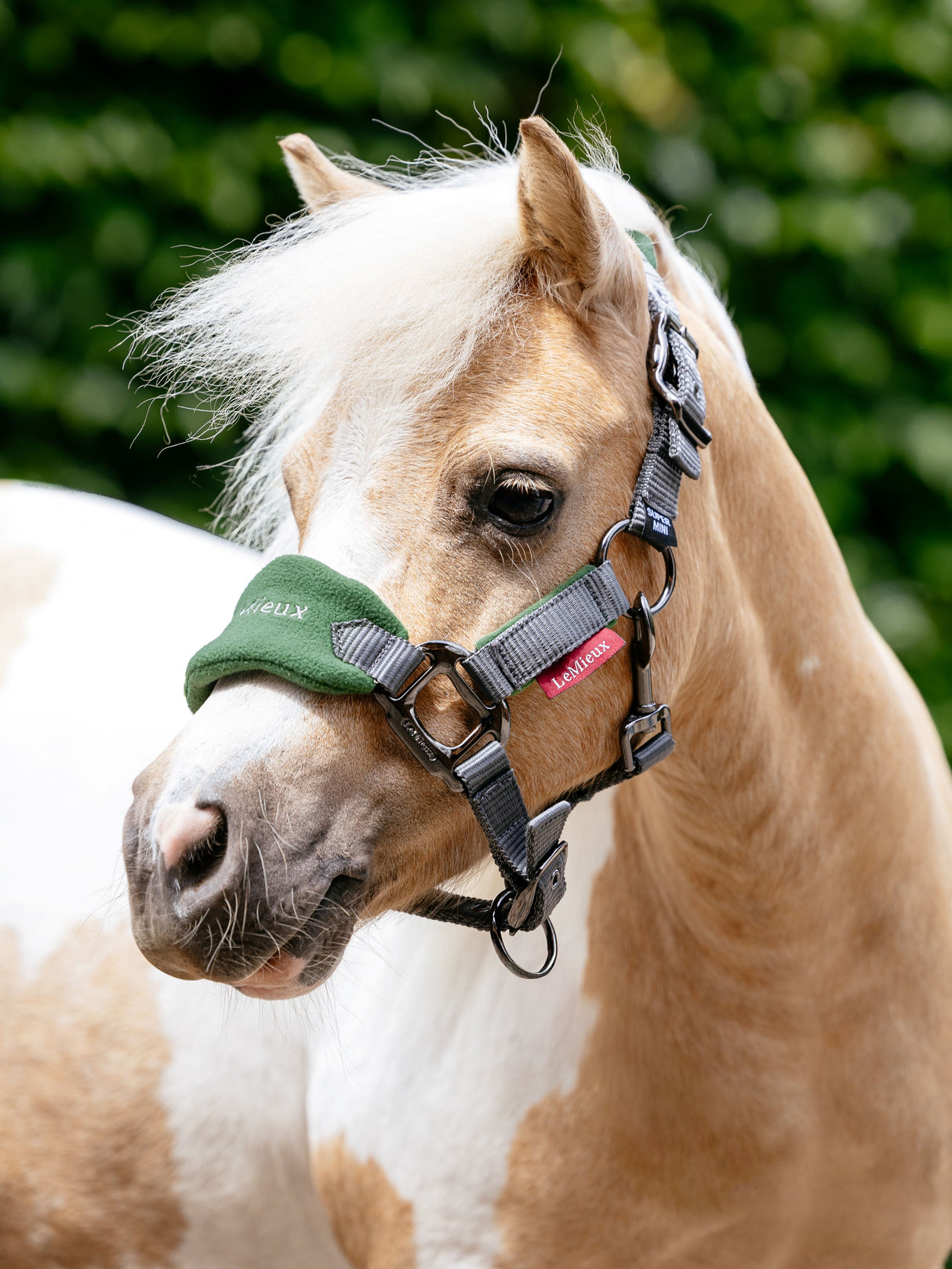 LeMieux Mini Vogue Headcollar & Leadrope Hunter Green