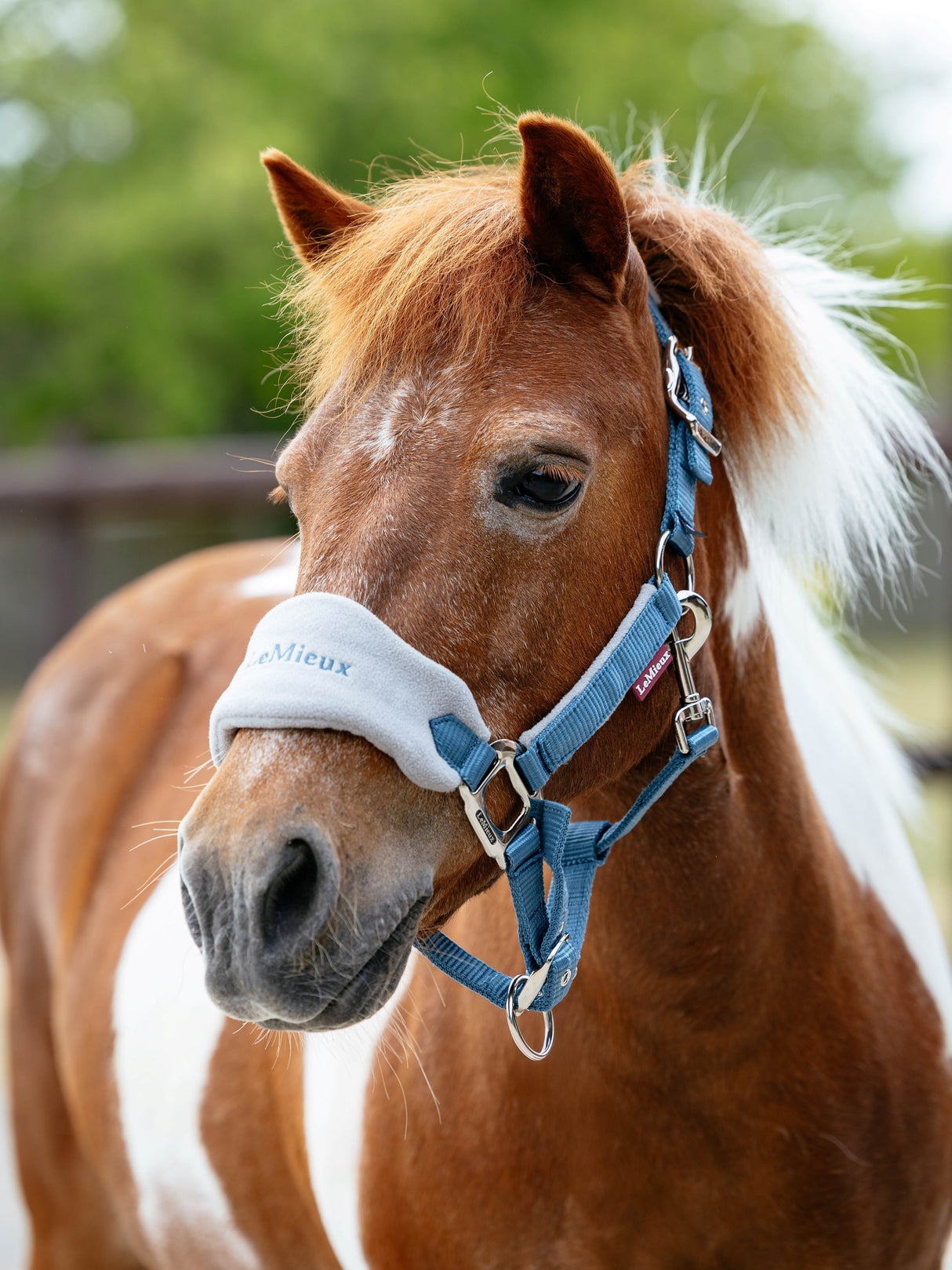 LeMieux Mini Vogue Headcollar & Leadrope Ice Blue