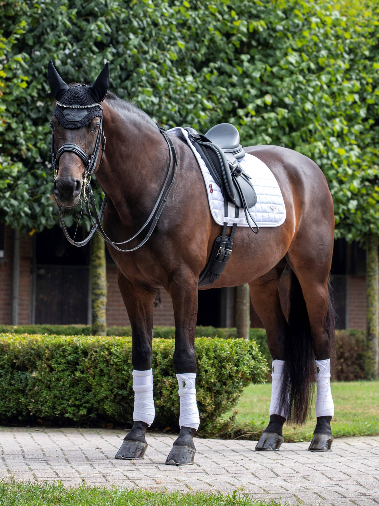 LeMieux Loire Classic Dressage Square Saddle Pad White