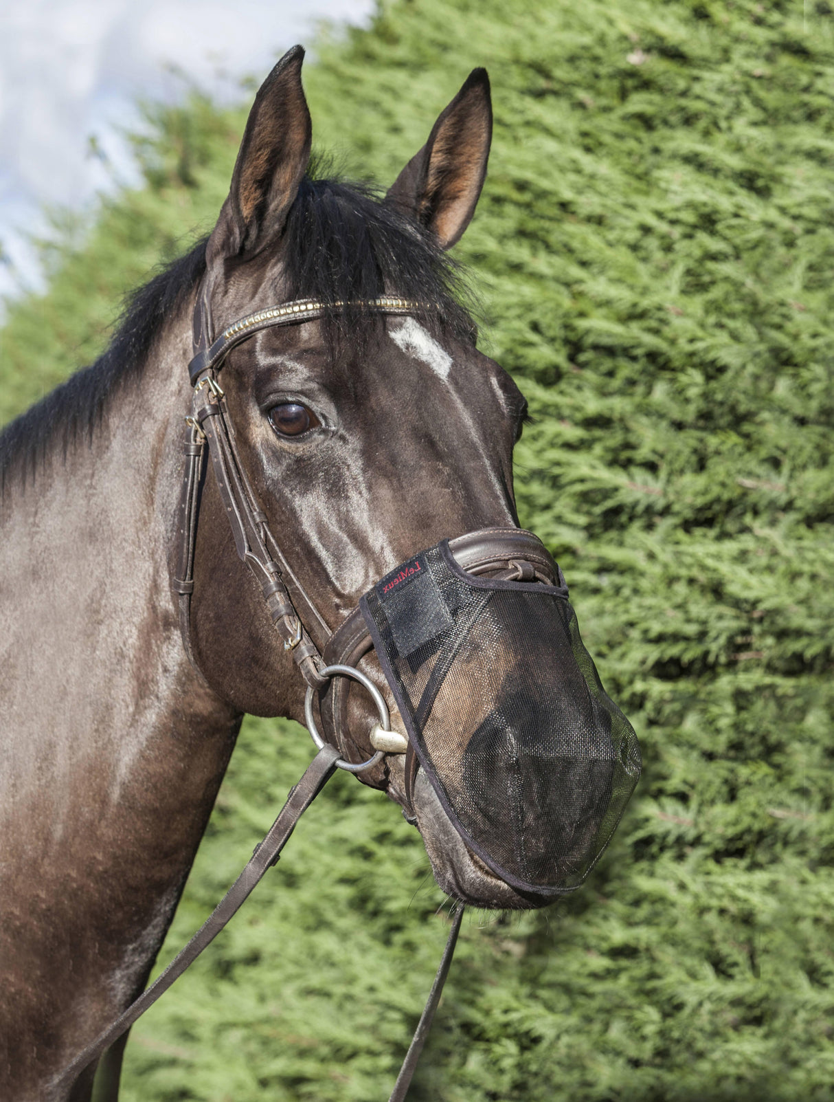 LeMieux Comfort Shield Nose Filter 2pk Brown