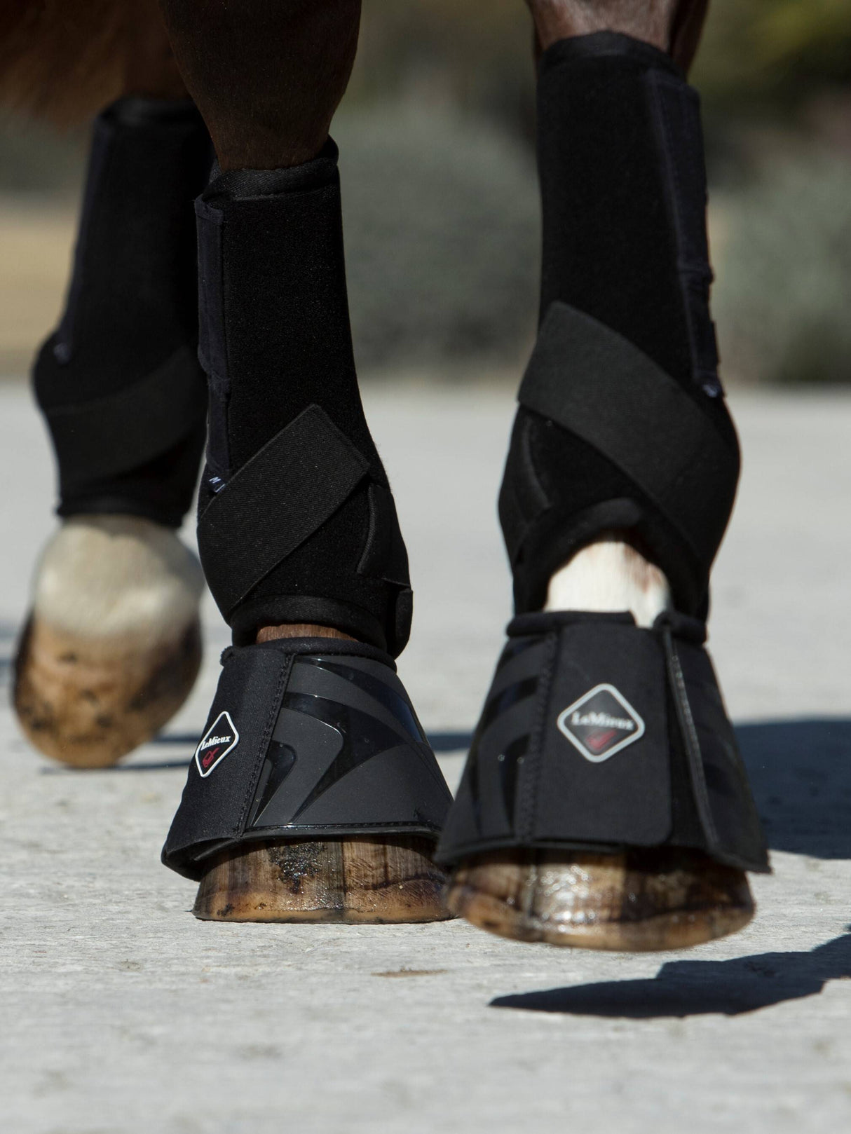 LeMieux ProShell Over Reach Boots Black