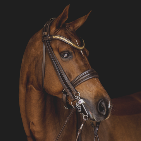 Utzon Equestrian London Double Bridle