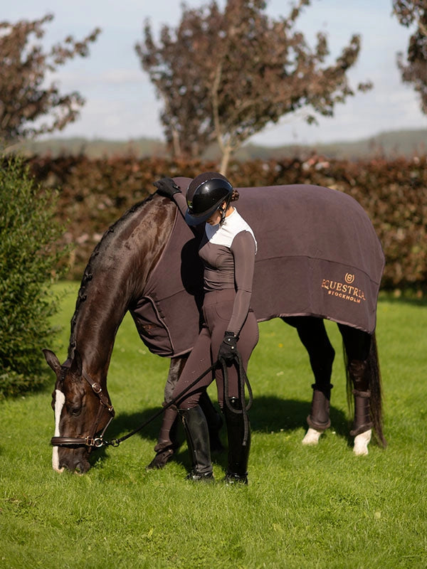 Equestrian Stockholm Fleece Explore Rug Moonless Night