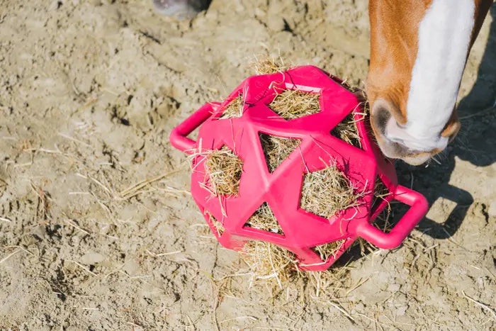Kentucky Relax Horse Play & Hay Ball Pink