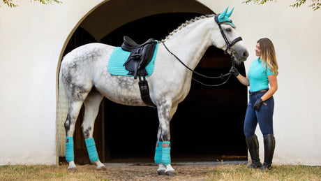 LeMieux Classic Bandages Azure