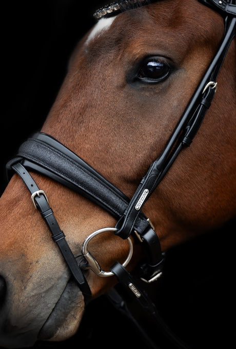 Limited Edition Edinburgh Glitter Bridle Black