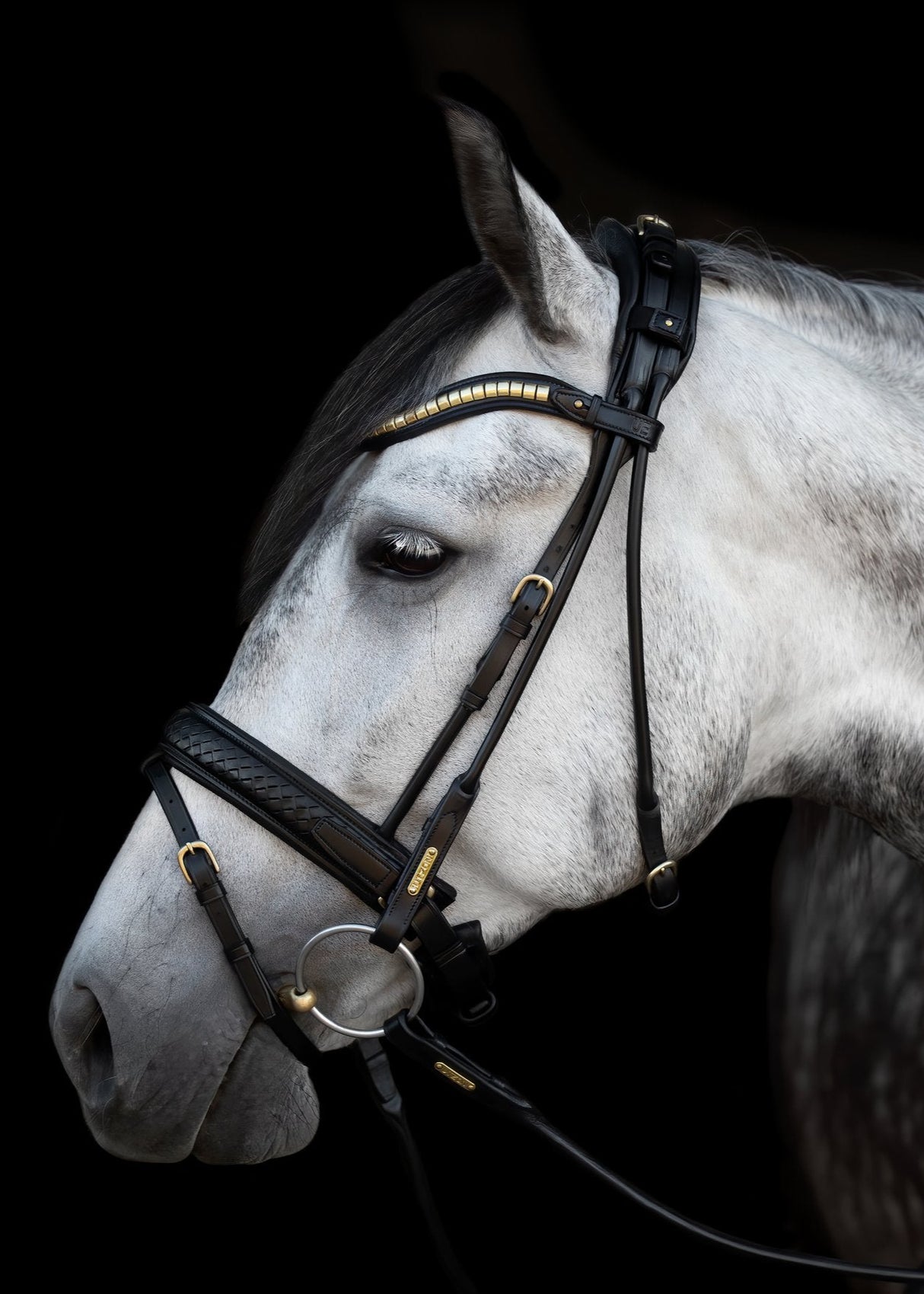 Utzon Equestrian Olympic Bridle