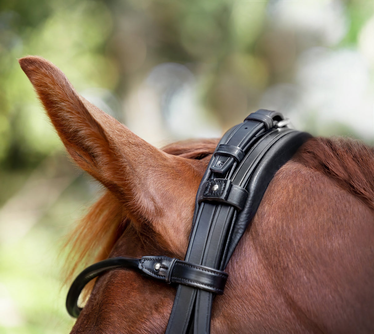 Utzon Equestrian London Bridle