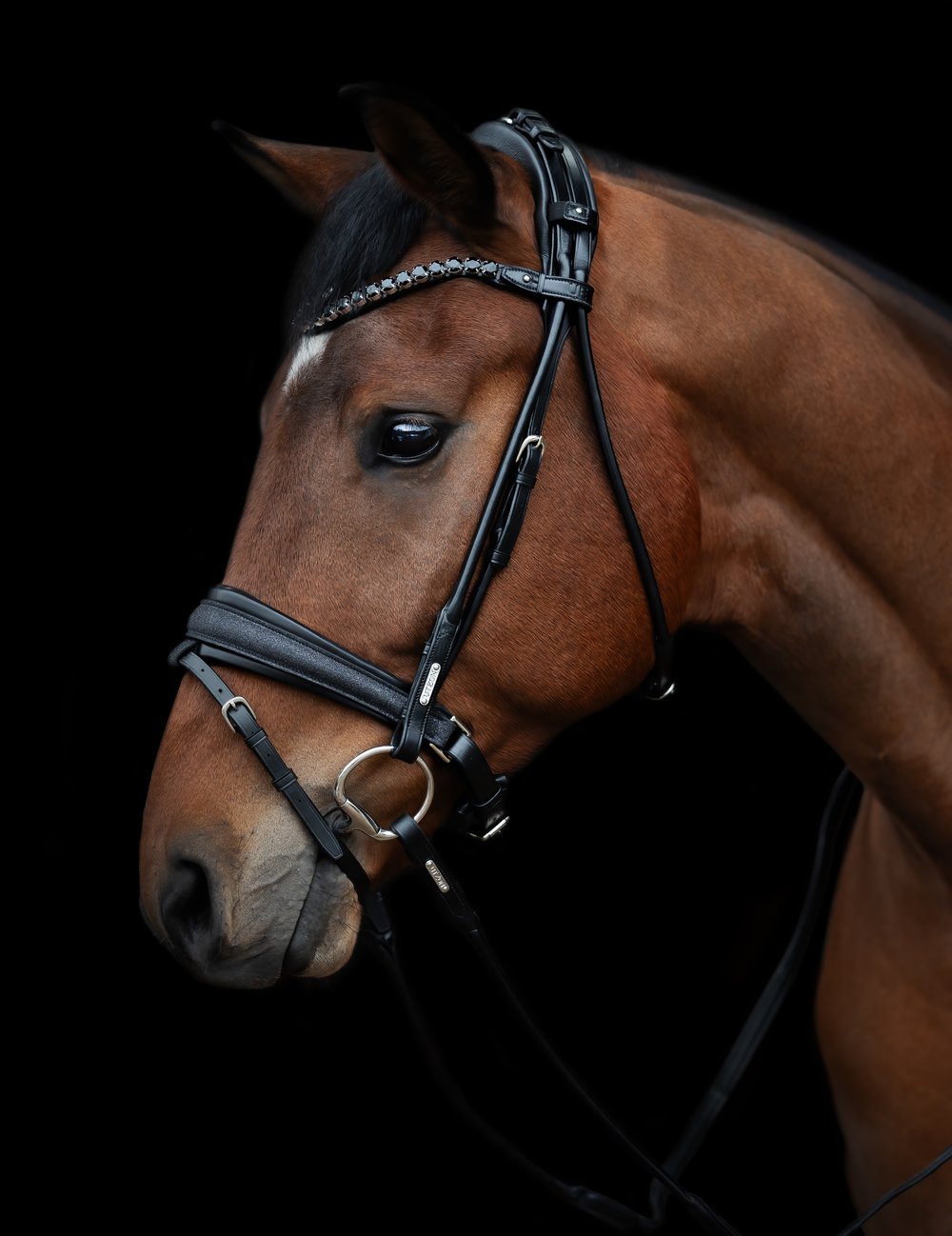 Utzon Edinburgh Glitter Bridle