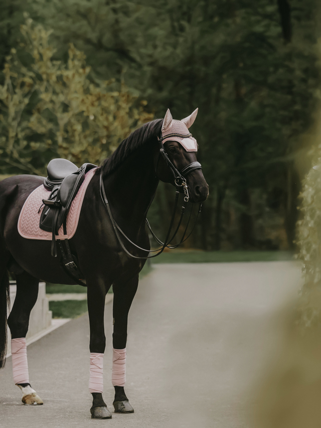 Kentucky Horsewear Velvet Pearls Dressage Saddle Pad Soft Rose