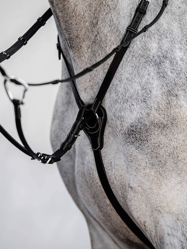 PS of Sweden Martingale Seoul