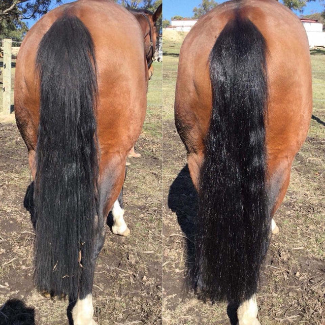 Hairy Pony 2 in 1 Detangle & Shine Spray Original