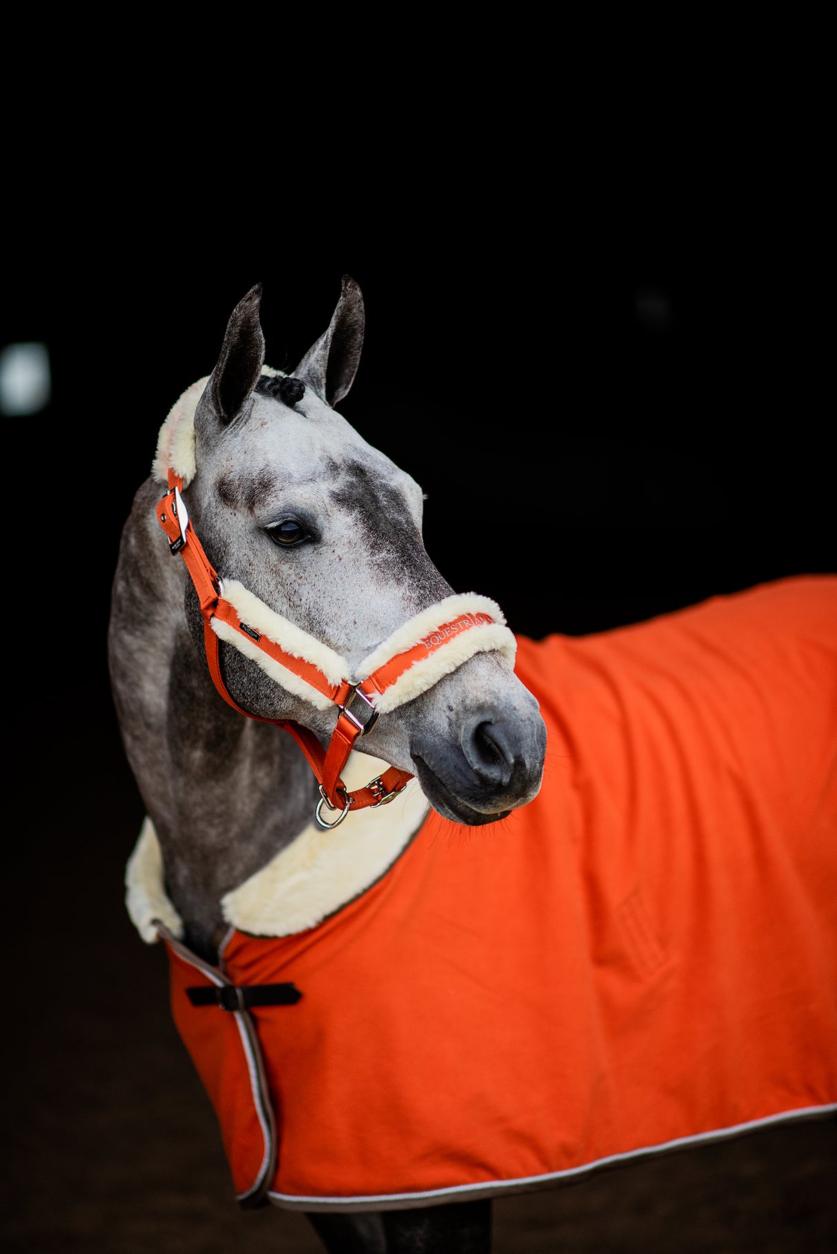Equestrian Stockholm Fleece Halter & Lead Brick Orange