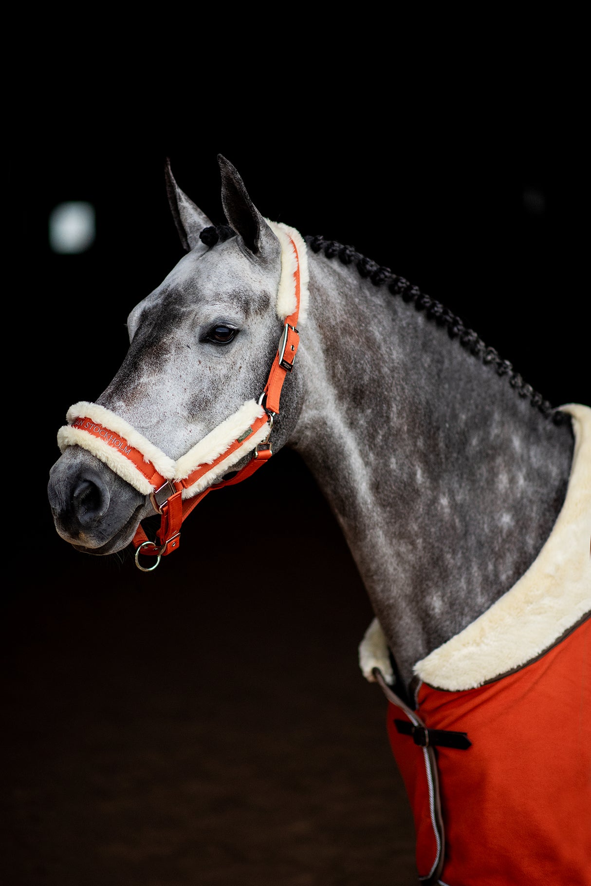 Equestrian Stockholm Fleece Halter & Lead Brick Orange