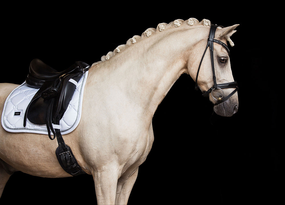 Equestrian Stockholm Bandages White Perfection Silver
