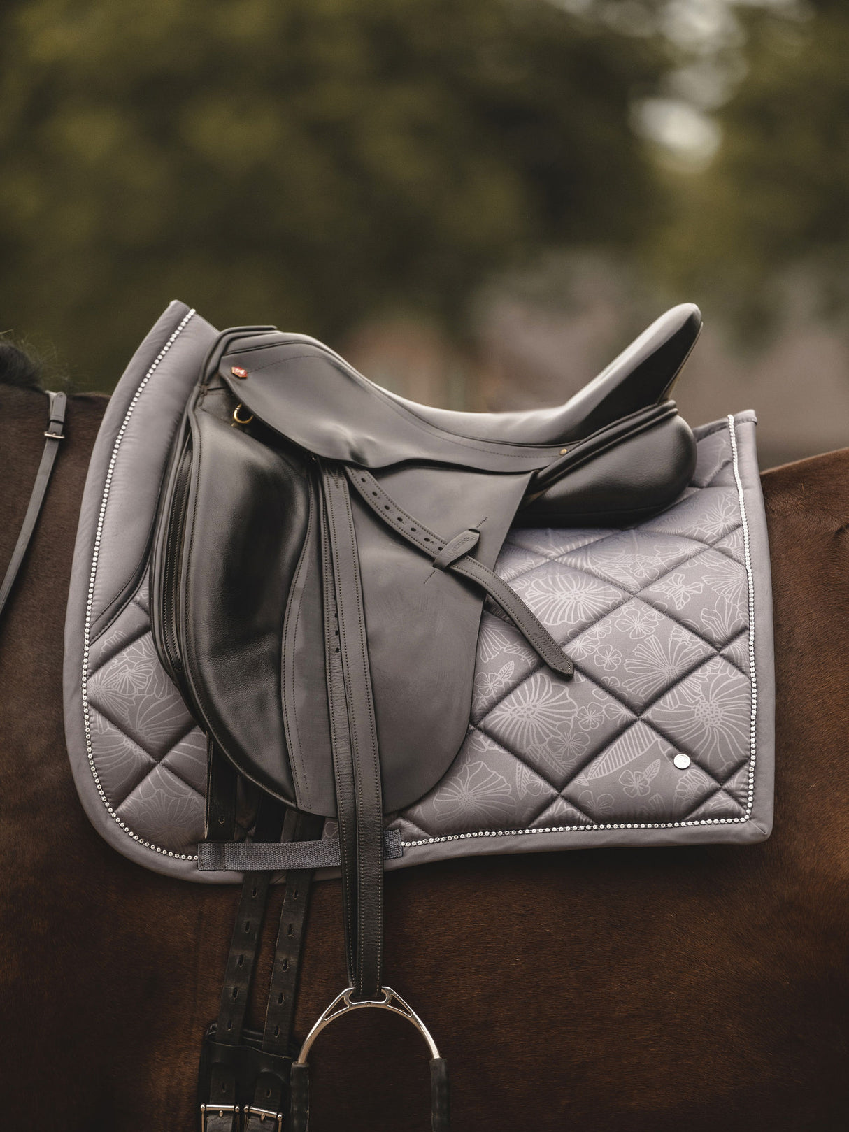 PS of Sweden Floret Dressage Saddle Pad & Bandages Grey